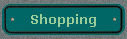  Shopping 
