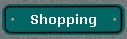  Shopping 